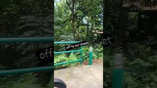 Berjaya Langkawi Resort travel kualalumpur nature tropical viralshort life island [upl. by Anelej]