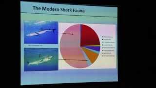 The Rise and Fall of the Neogene Giant Sharks [upl. by Maurene641]