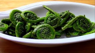 Wild Food Foraging Fern Fiddleheads in the Spring [upl. by Durtschi]