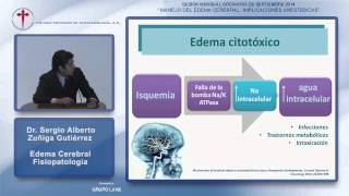 Edema Cerebral Fisiopatología Dr Sergio A Zuñiga Gutiérrez  01092014 [upl. by Nysilla]