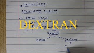 21 Dextran Polysaccharide [upl. by Itoyj228]