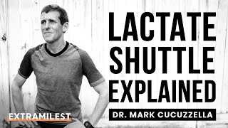 How to use lactate shuttle to improve your running performance [upl. by Kahle]