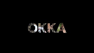 Authentik  OKKA ft Mitch Montano [upl. by Goodyear]