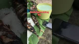 Boodle fight sa tabi Ng ilog almadedal food shortvideo [upl. by Nesnar]