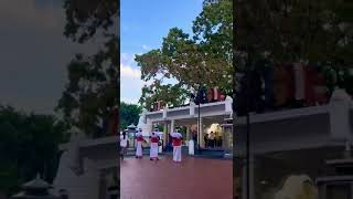 matara bodhiya evening time buddha srilanka [upl. by Norha]