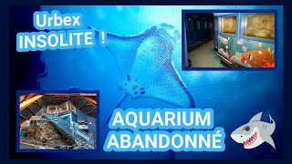 Urbex INSOLITE 🐠 AQUARIUM Abandonné🦈 urbex abandoned shark crocodile amazing [upl. by Nwadahs]