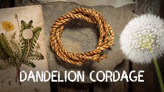 Dandelion Cordage  Cordage from foraged fibres  Ep 3 [upl. by Yattirb851]