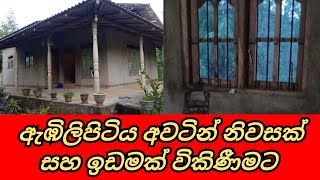 Embilipitiya Land SaleEmbilipitiya House Saleඇඹිලිපිටිය ඉඩම් විකිණීමCSB Property SaleIkmanlk [upl. by Trebreh30]