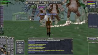 Everquest P1999 Bard Charm Killing [upl. by Reppart]