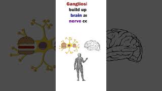 TaySachs Disease  Easy to remember Animation of Lysosomal Disorder shorts short medical [upl. by Schlenger919]