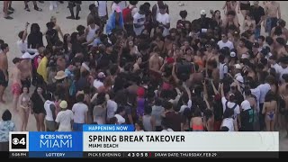 Spring Breakers arrive in South Florida [upl. by Olen]