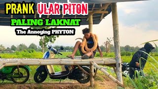 Video Lucu  Prank Paling Laknat  Ular Piton Bikin Emosi 🤣🤣  Aksi Terlucu [upl. by Iniffit857]