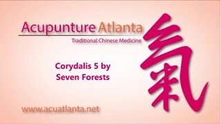 TCM Spotlight Seven Forests Corydalis 5 [upl. by Jamie621]