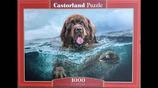 Puzzle Big Brown 1000 pieces Castorland [upl. by Aitnuahs]