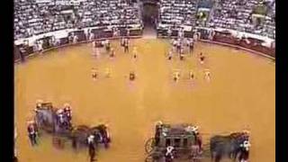 Corrida de Gala à Antiga PortuguesaRTP 50 anos [upl. by Gehman]