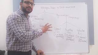 Simple trick to learn and remember the Structures of Nitrogen bases [upl. by Ecirahc452]