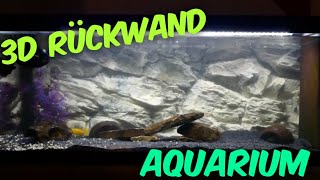 Aquarium  Einrichten  3D Rückwand  Das Einsetzen einer Rückwand [upl. by Yann]