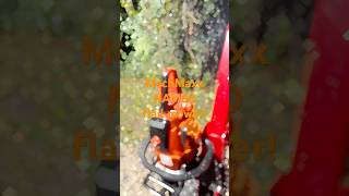 MechMaxx NAM60 flail mower mulching wild muscadine vines [upl. by Acinimod]