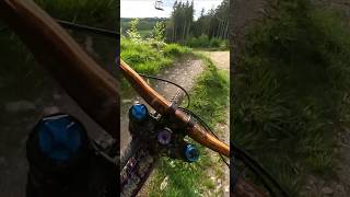 DOWNHILL STRECKE 2024 BIKEWELT SCHÖNECK👌🤙💯 [upl. by Notniuqal]