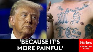 Donald Trump Warns Voters MS13 Gang Members Are In The US And They ‘Love’ Using ’Knives’ [upl. by Eldnek]