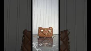 Chanel 24S Hobo Crossbody Bag [upl. by Bury659]