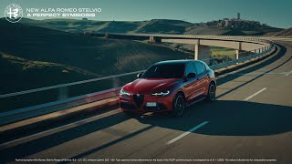 New Alfa Romeo Stelvio [upl. by Zaslow]