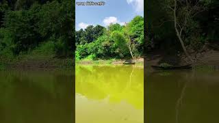 The beauty of our Ichamati river 🥀 shortfeed shorts shortvideo viralvideo coolvideo videomic [upl. by Aztirak]