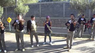 Mariachi Los Camperos de Zacatecas quotPompas Ricasquot [upl. by Francisca]