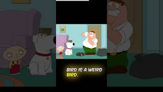 Family Guy Surfin Bird Broken Record familyguy [upl. by Inah]