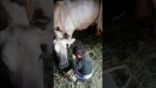 Gauma huda Sahar ko rahara viralvideo cutebaby [upl. by Zumstein]