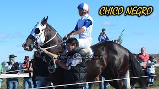 CHICO NEGRO  GRAN CLÁSICO INTERNACIONAL  Las Garzas 040617 [upl. by Dj]