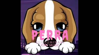 Elilluminari  Perra Remix 2 ft Jony Music Audio Oficial [upl. by Hartnett962]