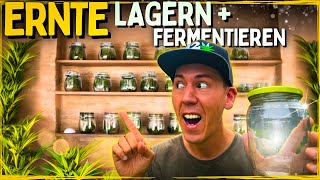 Die Ernte ist da 😱 Lagern und richtig Fermentieren für Anfänger [upl. by Lerred918]