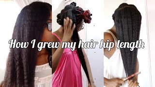 HOW I GREW MY HAIR HIP LENGTH  24 HAIR GROWTH TIPS part 3 [upl. by Delisle70]