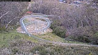 Thredbo Alpine Coaster Live [upl. by Ambrosine]