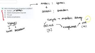 Which of the following steps of respiration is amphibolic   11  RESPIRATION IN PLANTS  BIOL [upl. by Orpah235]