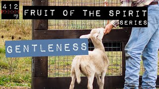 Fruit of the Spirit Gentleness  412teensorg [upl. by Dlonyar]