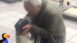 Man Films Himself Reuniting With Dog After 3 Years Apart  The Dodo [upl. by Akirehs]