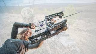 Bow Review Hoyt Torrex [upl. by Axela639]