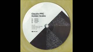 Claudio PRC  Monotex DSRC22 [upl. by Adi104]