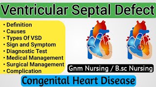 Ventricular Septal Defect  Ventricular Septal Defect Pediatrics  Congenital Heart Disease [upl. by Boru]