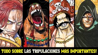 Las TRIPULACIONES de PIRATAS más IMPORTANTES de ONE PIECE  TODOS sus MISTERIOS Y SECRETOS [upl. by Atiuqes]