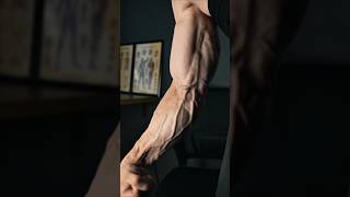 Big and wider forearms at home in 7day forearms forearmworkout aesthetic armworkout shortsvideo [upl. by Stenger]