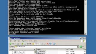 How to setup a self signed SSL certificate on IIS6  Part 2 of 3 [upl. by Zetniuq826]