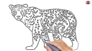 How to Draw a Leopard Easy Step By Step Drawing Tutorials for Kids – UCIDraw [upl. by Anna-Maria289]