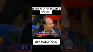 La hormiga de BIG brother saulbabyface humor tiktok comedia eneljale polopolo bigbrother [upl. by Divine]