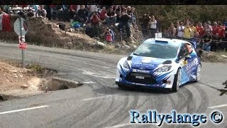 Day 2  Wrc RallyRACC CatalunyaCosta Daurada Rally de España 2013 [upl. by Hogen]