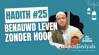 RAMADANIYAH DAG 25 VERTROUWEN OP ALLAHS PLAN [upl. by Alexa]