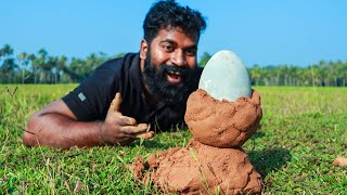 ആനമുട്ട പുഴുങ്ങിയത്  EMU Egg Fry  M4 TECH [upl. by Seniag288]