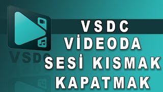 VSDC Free Video Editorda ses nasıl kapatılır [upl. by Arrekahs254]